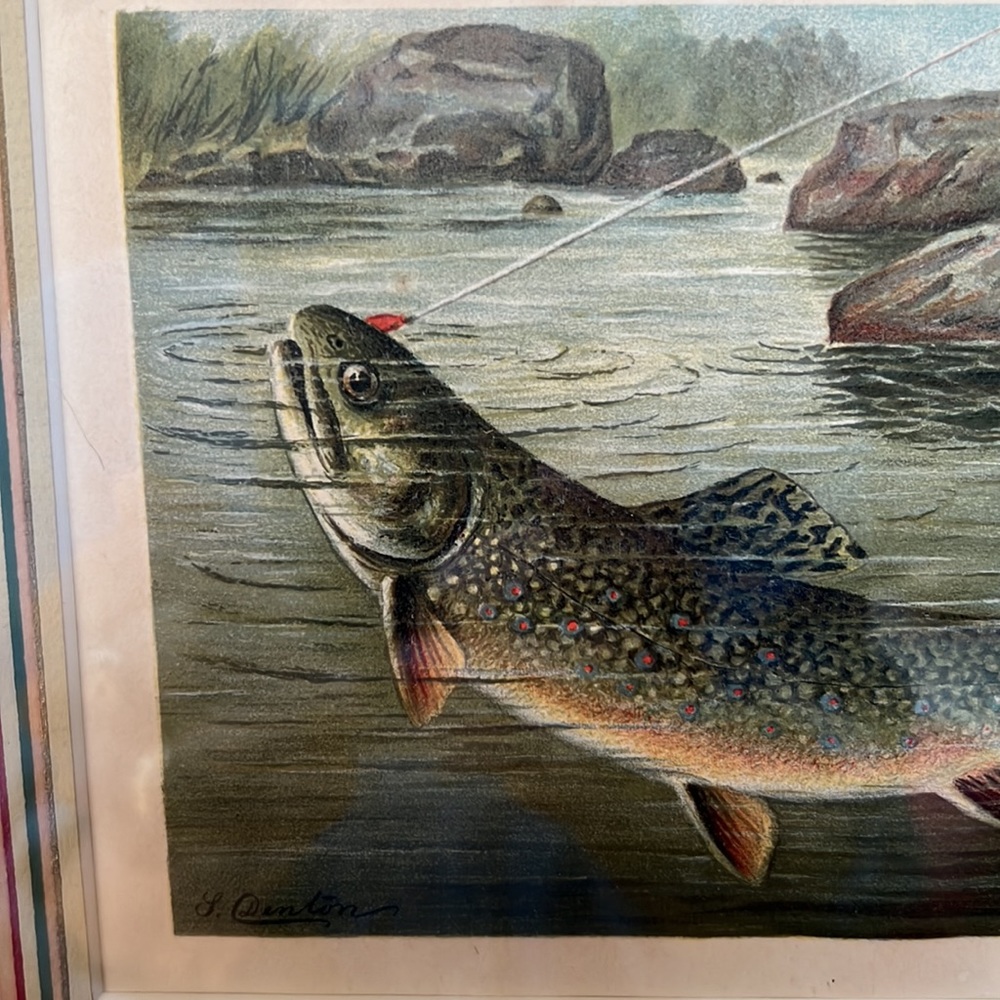 Ant/VTG Framed Denton Fish